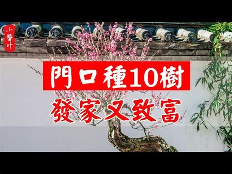 門口種松柏|【門前的風水樹】門前種什麼樹風水好種對了樹好運連連 